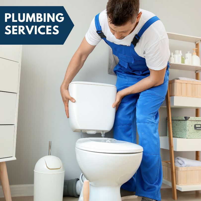 Plumbing Company in Wadsworth, NV